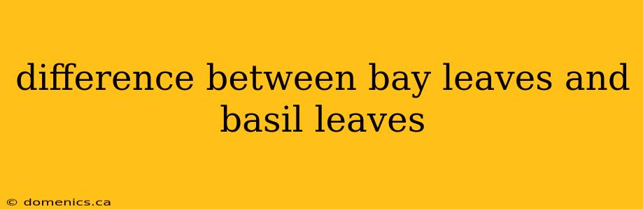 difference between bay leaves and basil leaves