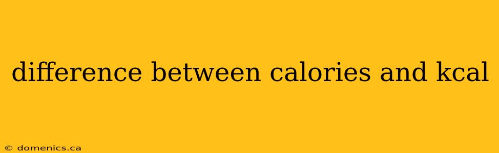 difference between calories and kcal