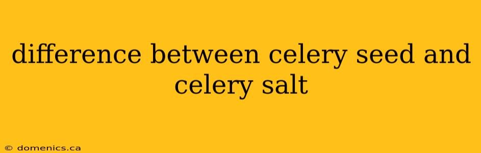 difference between celery seed and celery salt