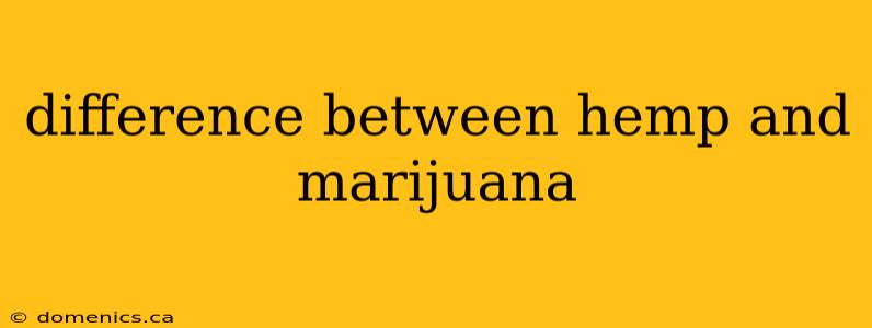 difference between hemp and marijuana