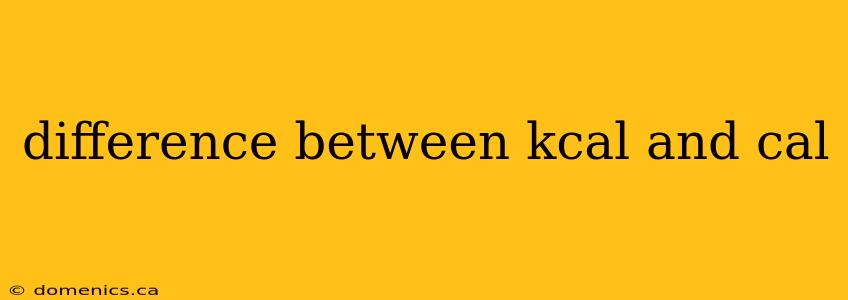 difference between kcal and cal