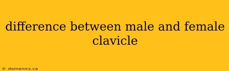 difference between male and female clavicle