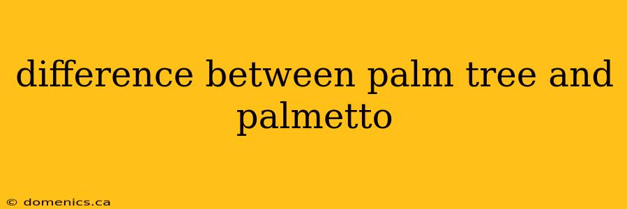 difference between palm tree and palmetto