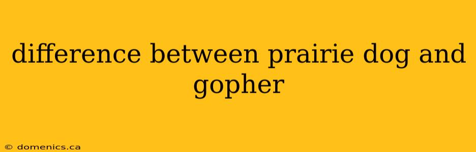 difference between prairie dog and gopher