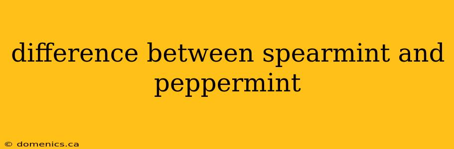 difference between spearmint and peppermint