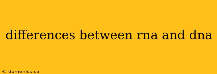 differences between rna and dna