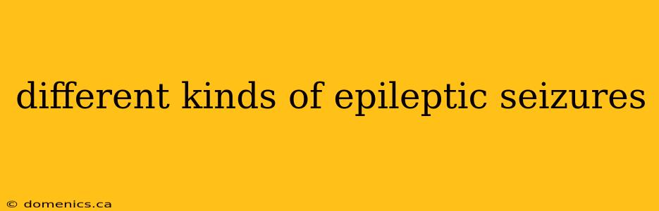 different kinds of epileptic seizures