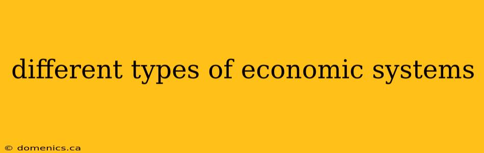 different types of economic systems