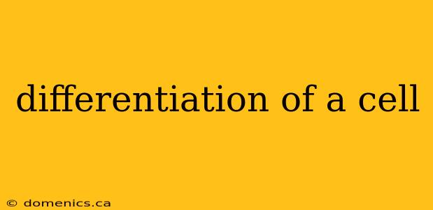 differentiation of a cell