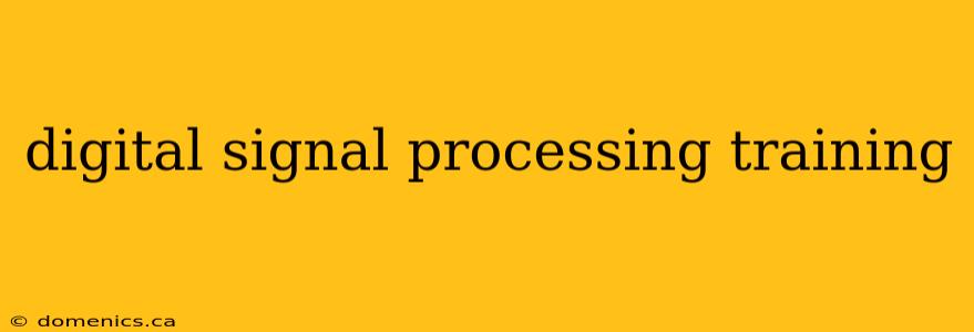 digital signal processing training