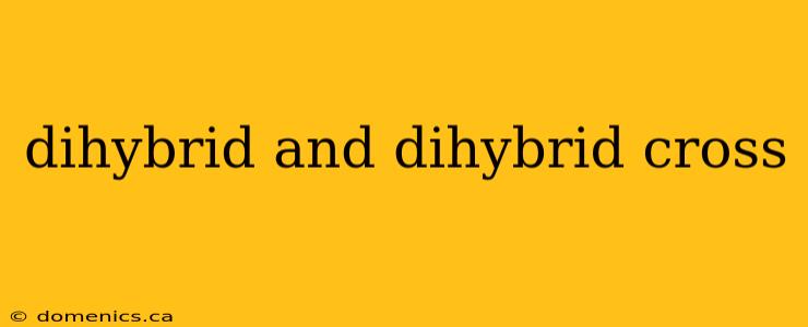 dihybrid and dihybrid cross