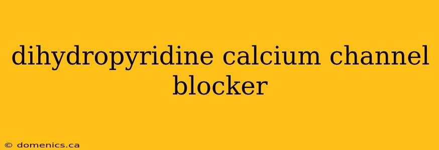 dihydropyridine calcium channel blocker