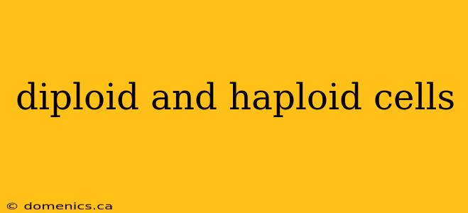 diploid and haploid cells