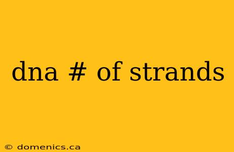 dna # of strands