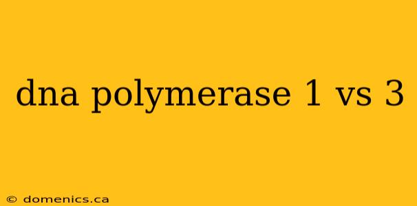 dna polymerase 1 vs 3