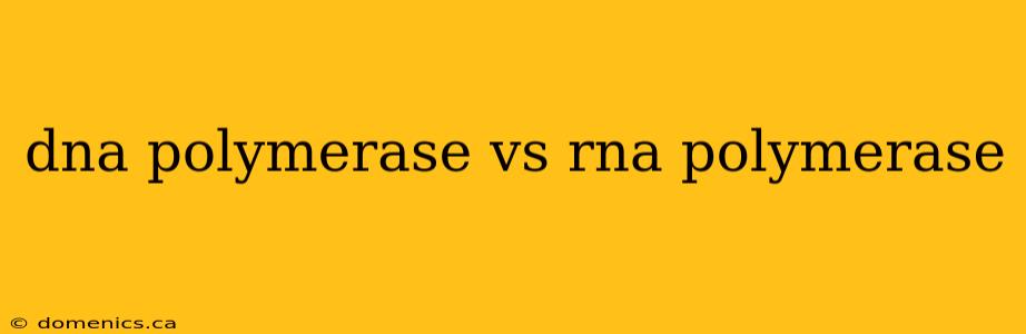 dna polymerase vs rna polymerase