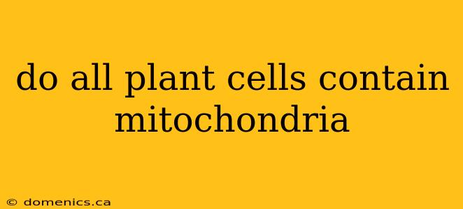 do all plant cells contain mitochondria