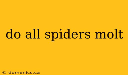 do all spiders molt