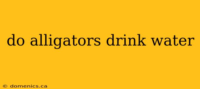 do alligators drink water