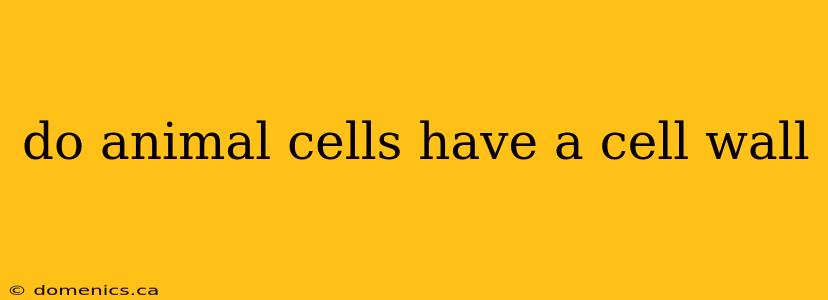 do animal cells have a cell wall