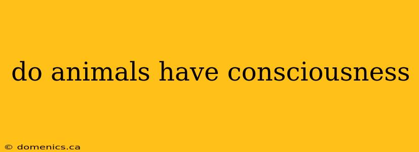 do animals have consciousness