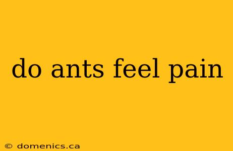 do ants feel pain