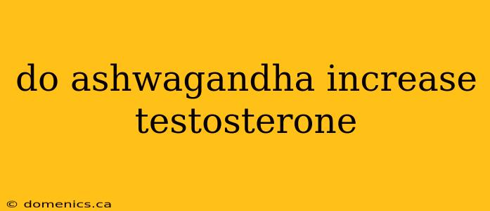 do ashwagandha increase testosterone