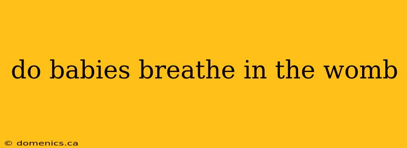 do babies breathe in the womb