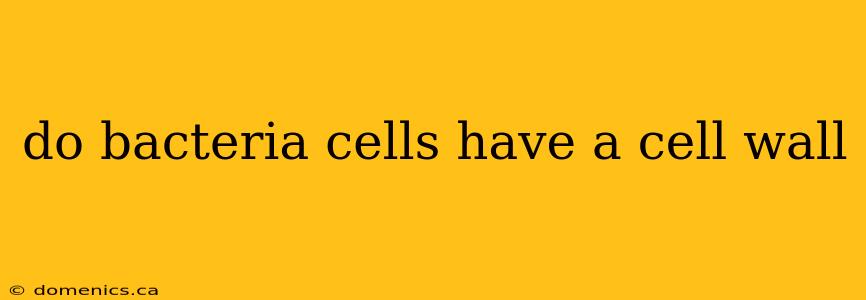 do bacteria cells have a cell wall