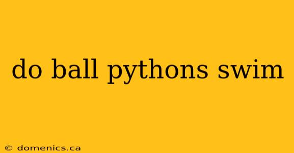 do ball pythons swim