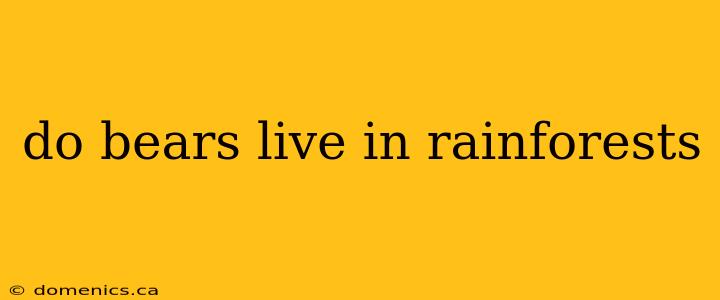 do bears live in rainforests