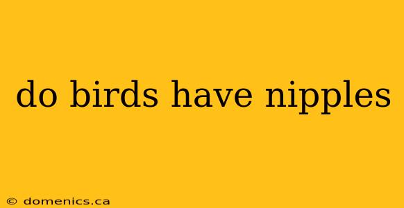 do birds have nipples