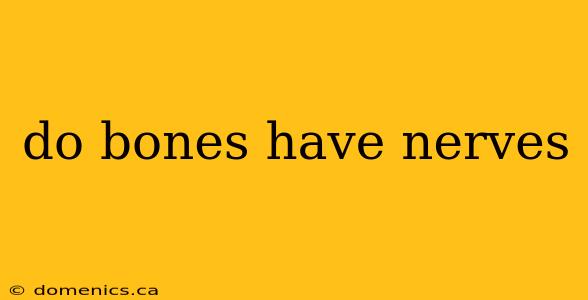 do bones have nerves