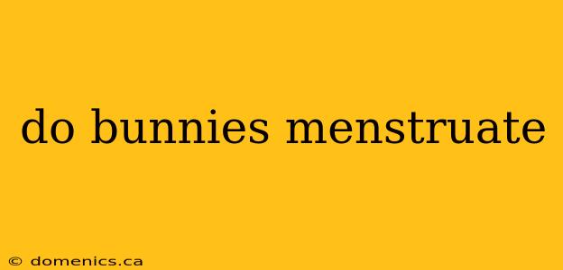 do bunnies menstruate