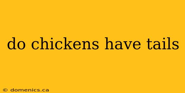 do chickens have tails