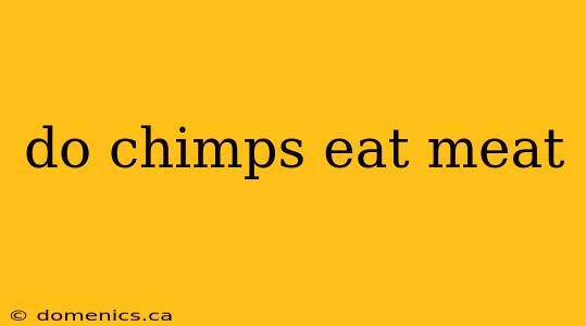 do chimps eat meat