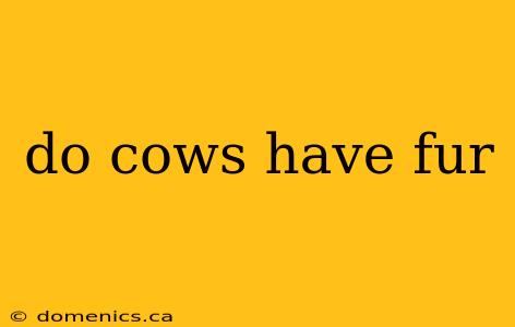 do cows have fur