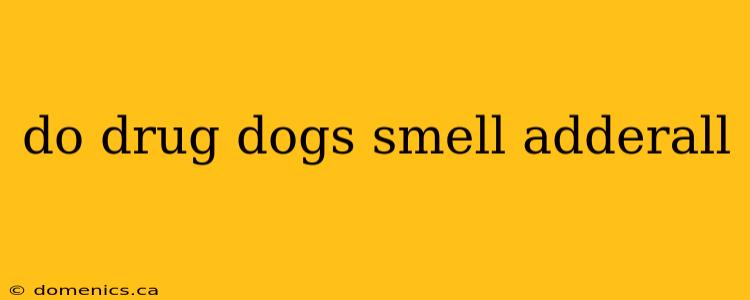 do drug dogs smell adderall