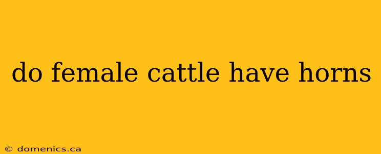 do female cattle have horns