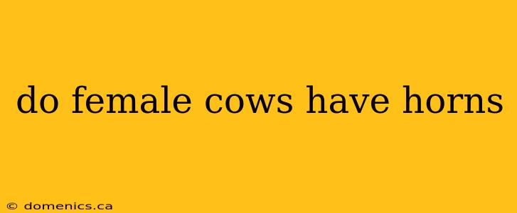 do female cows have horns