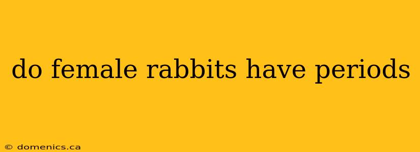 do female rabbits have periods