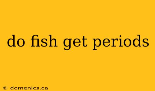 do fish get periods