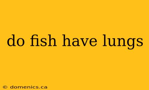 do fish have lungs