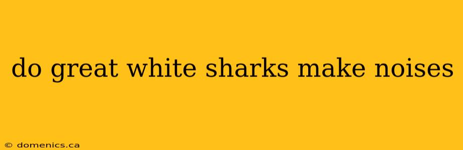 do great white sharks make noises