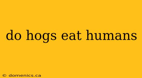 do hogs eat humans