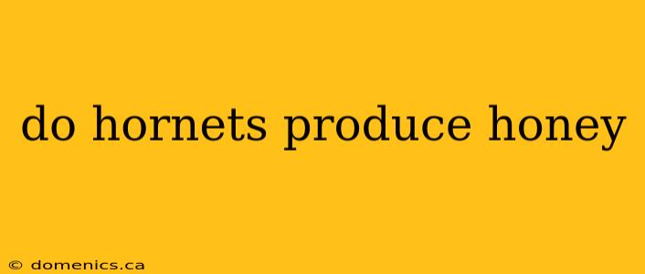 do hornets produce honey