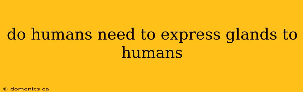 do humans need to express glands to humans
