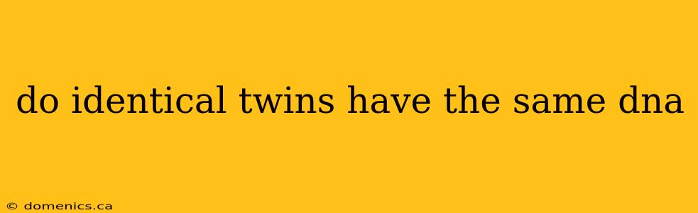 do identical twins have the same dna