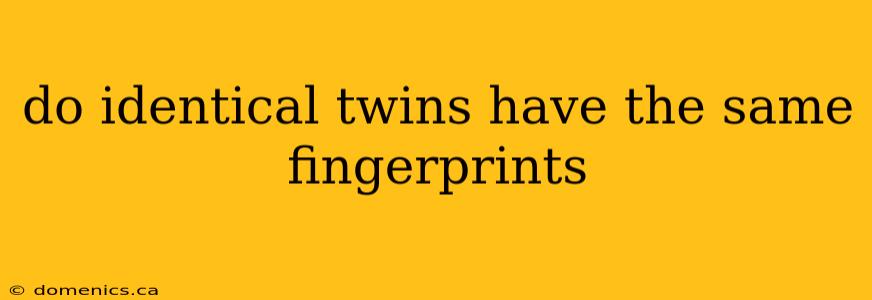 do identical twins have the same fingerprints