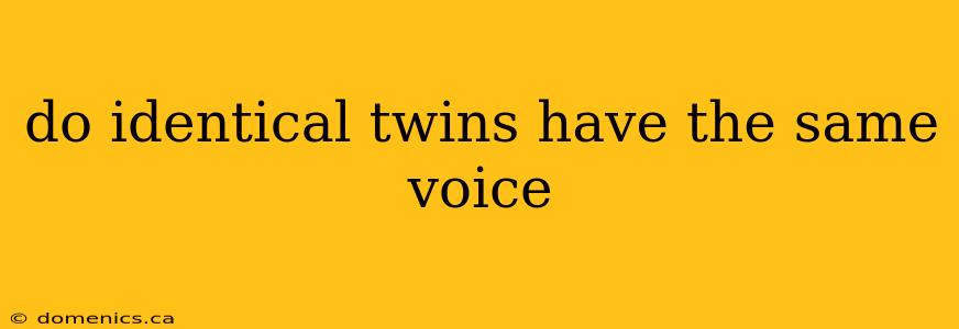 do identical twins have the same voice